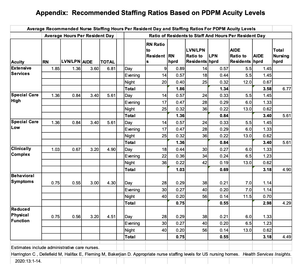 White Paper Nursing Home Staffing